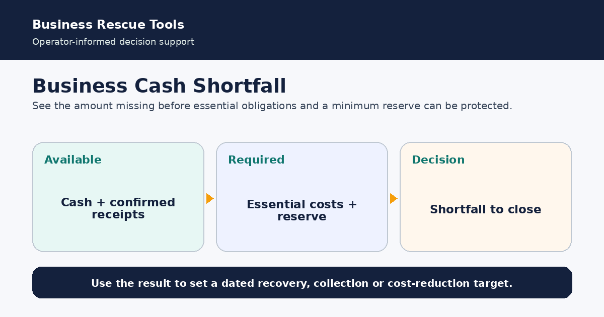 Decision framework for Cash Flow & Business Survival